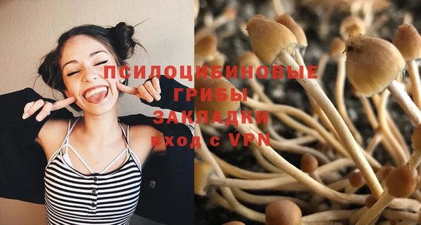 мяу мяу кристалл Краснослободск